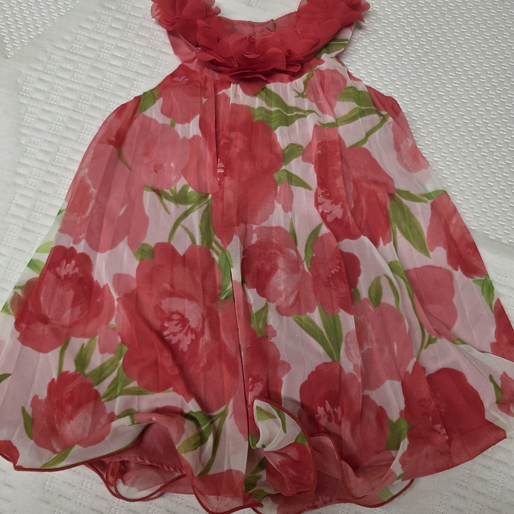 Rare Editions Red Floral Chiffon Party Dress